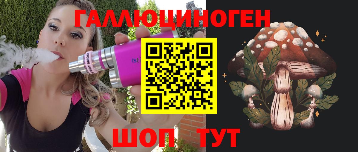 Малгобек  Псилоцибиновые грибы GOLDEN TEACHER  Вход с VPN 